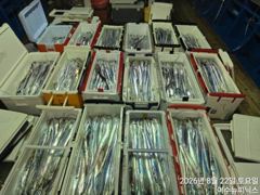 <여수뉴피닉스호> 씨알좋은 갈치출조 계속 좋은조황입니다. 24일(월)부터 자리있습니다. 010 7178 3800 사진