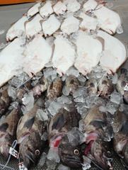8월 22일  뉴신명호 중내만 외수질 조항입니다 사진