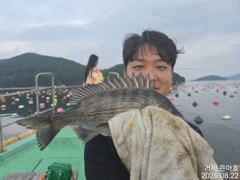 35전후마릿수  진행중 오전낚시  사진