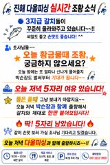 진해♡다올피싱)22일 실시간 조항 ~~