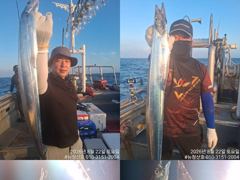 [완도 청산호] 26.08.22 씨알 3-5지급 갈치로 쿨러 가득히~ 호조황 입니다. 찾아주신 조사님들 감사합니다. 사진