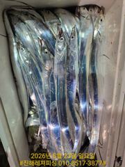 내만칼치ㅡ 바글바글. 손맛 굿굿 (예약가능) 사진