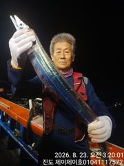 진도제이제이 8월22일 대갈치 쿨러가득 도전 조황입니다 사진