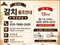 [진해] "준내만갈치" 3지4지이상 대갈치들!! 만쿨까지 묵직하게 담았네… 사진