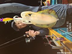 [포항] 뉴해마호 야간무늬팁런 조황입니다 사진