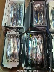 [진해] 준내만 23일 대치들 손맛좋아요 오늘예약가능합니다