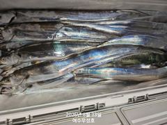 8월23일입항 대갈치 반쿨에서 쿨러가득 조항소식 입니다