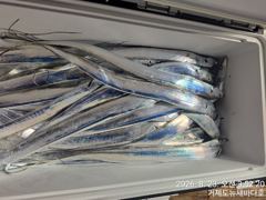 뉴새바다호 14석 갈치  3지 4지 쿨러조황입니다  내일부터 예약가능합니다 사진