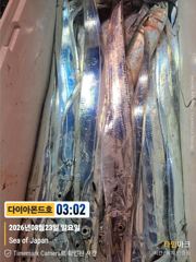대물갈치! 은빛대박터졌다!! 얼른얼른 예약전화주세요~ 사진
