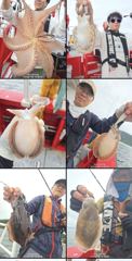 내만갑오징어출조!!25일(화)부터 탐사이벤트(5만원)//24일(월)문어4자리여유!! 사진