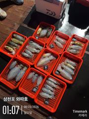 팁런 조황입니다  사진