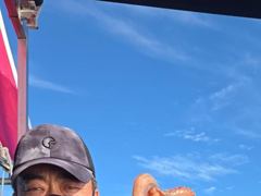 생활낚시조황 - 8/23 갑오징어 탐사출조 조황 - 무창포 테티스호,배낚시,바다낚시.선상낚시.생활낚시.전문 사진