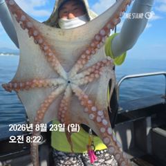 오늘자 돌핀3호 대왕문어 낚시 6인 조황입니다. 사진