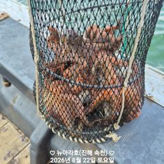 [진해] 속천 뉴아라호 돌문어 트리플 연타등등 (이벤트) 사진