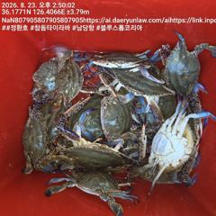 23일 남당항 정환호 첫 꽃게낚시 만쿨조황.... 사진