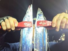 준내만갈치~3지4지갈치!묵찍묵찍(월요일예약가능)