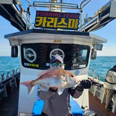 8월 23일 카리스마호 참돔  사진