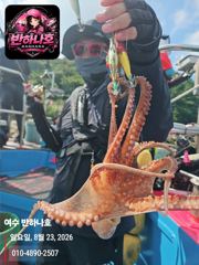 [여수반하나호]23일문어조황*문어는9월부터/27일 야간 내만갈치(선비전화문의)파격적! 사진