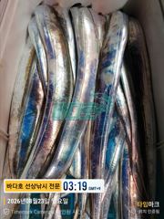 [[대림낚시바다호 ]] 왕갈치 조황 사진