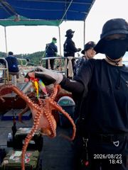 돌문어사냥 키로급외 마릿수도 굿! 조황! 사진