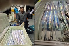 [뉴-한사리호]23일철수 갈치조황입니다 사진