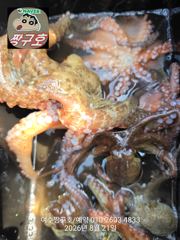 여수 짱구호  8월21일(금) 문어(장원23수) k조황 사진