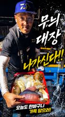 [ 무늬 팁런 ] 6분이 100수 찍었습니다.  사진