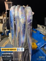 흥부)오늘 두자리 가능 대마권 수심 깊은곳으로 달려봤는데 씨알은 좋은데 마리수가 사진