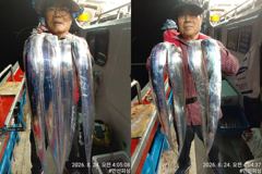 [통영] [통영만선피싱] 씨알 좋은 갈치~~ 29일 토요일부터 정상출조합… 사진