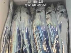 아이비호/오늘 자리텅텅!!대갈치공략!!쿨러만땅~먼바다나들이!!쿨러가득채우러!!월화수 쭉 자리텅텅 예약가능 사진
