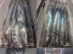 ((**여수포르투나**))  갈치조황.. 사진