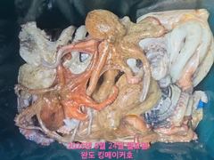 [완도] 킹메이커호 문어조황!! 오늘도 터졌습니다. 사진