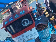 24일 문어 사진