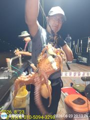 [포항] 8-24(실시간)돌문어~~화.수.목 5시 운동장 사진