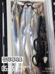 [텐빈]싸이즈는"굿" 마리수는 아쉬운,조황(화요일,출항) 사진