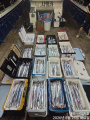 <여수 청홍낚시>8월23일 출항~24일 입항.나이키호 여수 먼바다 갈치텐빈 조황 소식 입니다.(26일4자리여유) 사진