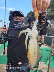 무뉘오징어  사진