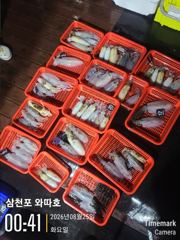 어제 월요일 팁런 조황입니다  사진