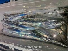 [통영] 아이비호/내일수자리텅텅!!4지 빵빵대갈치들!!멋진손맛~수목금토일… 사진