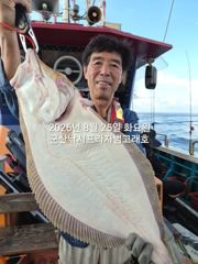 8/25, 연일 굿굿~생미끼~날마다 대박~대광어"마릿수 굿굿"~실시간 조황~"생미끼-8월 평일, 선비 빅이벤트(선비8만)"~~ 군산 범고래호 사진