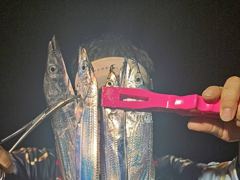 [진해] 내만갈치  버글 버글~~~~예약가능 사진