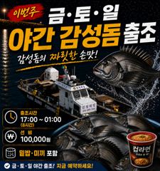 가을찾으러주.야간감성돔출조합니다 사진