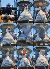 조황사진 - ♡백조기♡ 8월 25일 굿~! 굿~! 굿~! 조황~!^^ - 인천제일바다낚시 | 인천배낚시, 인천쭈꾸미낚시 사진