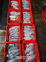 대빵돼지 대삼치힛트중(수.금.팁런은 금요일부터모집합니다) 사진