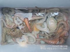 "돌문어" 키로외 덩치들 133수이상~개인17수15수14수13수13수등 전원 마릿수손맛 조황~^^ 사진