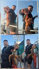 통영] 문어 사량도 굴어장 조황 25일(화) 통영 메티스호 사진
