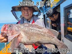 26년 8월 25일!! 인천 썬스타호!! 우럭 조황입니다~^.^ 사진