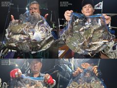 <발키리호> 야간 꽃게 마무리 굿 조황(25~26일)-금일 야간 꽃게 자리있습니다. 사진