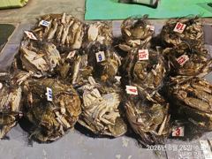 8월25일 군산 강남호 야간 꽃게 낚시 조황- 오늘 자리여유 있습니다 사진