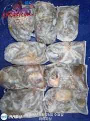 [진해] 25일(야간문어) 마리수굿 덩치들굿굿 퍽퍽(목요일 예약가능) 사진